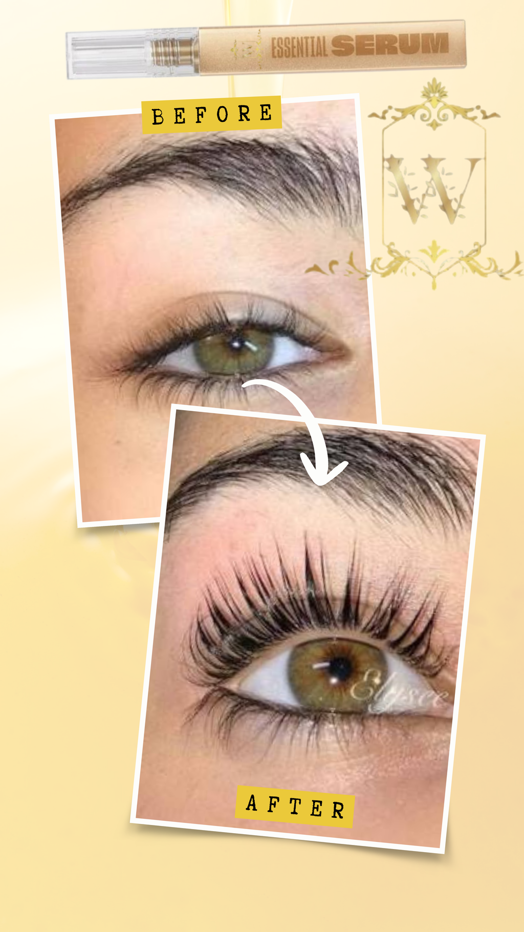 Essential Lash Serum